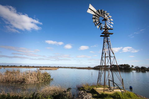 Limestone Ridge - Accommodation Gold Coast 16