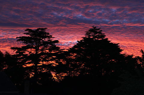 Pirralilla Estate Adelaide Hills - Accommodation Gold Coast 26
