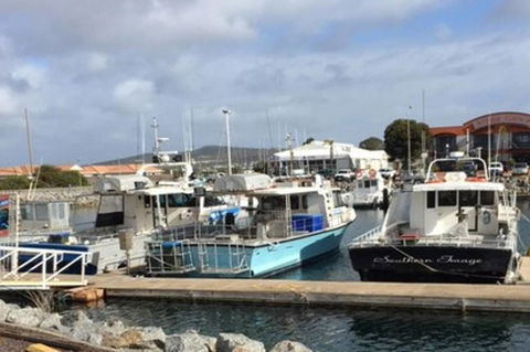 Port Lincoln Shark Apartment 2 - Accommodation Gold Coast 17