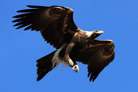 Eagles Range - Accommodation Gold Coast 16