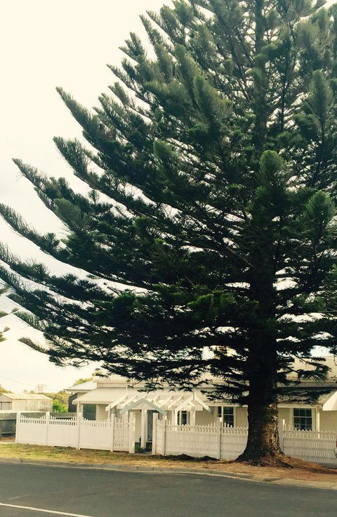 Railway Cottage In Beachport - Accommodation Gold Coast 13