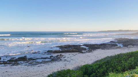 Milly\'s Middleton - Pet-friendly - Accommodation Gold Coast 3