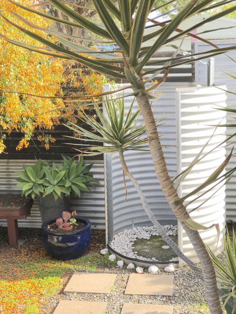 Milly\'s Middleton - Pet-friendly - Accommodation Gold Coast 23