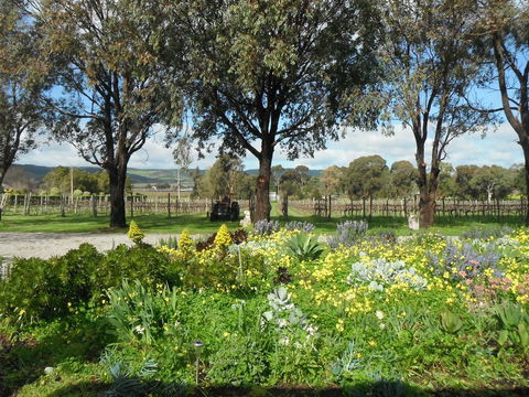 Linger Longer Vineyard - Gold Coast 4U 17