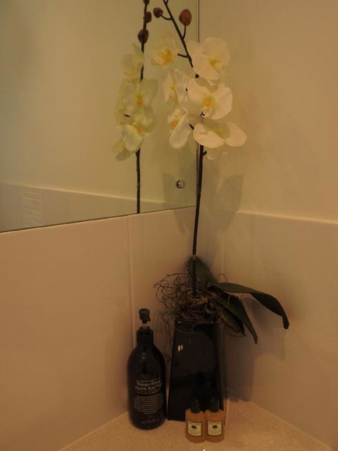 Sanctuary In The Valley - Accommodation Gold Coast 21