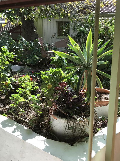 Cosy Nook - Accommodation Gold Coast 19