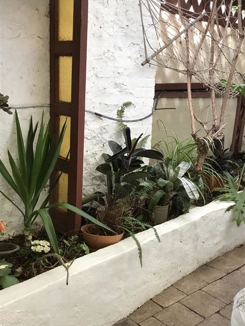 Cosy Nook - Accommodation Gold Coast 16