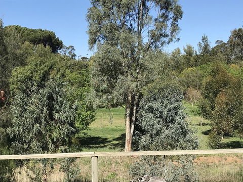 Adagio In Auburn - Gold Coast 4U 25