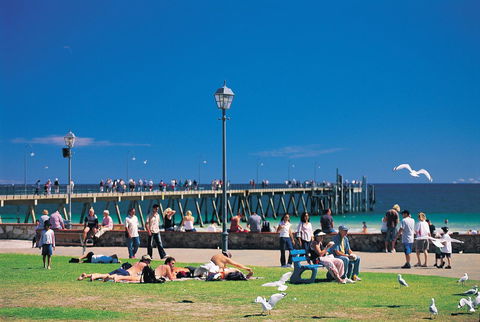 Glenelg Holiday Apartments-Ellis - Accommodation Gold Coast 11