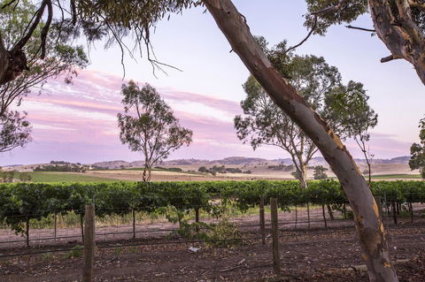 Jasmine\'s Barossa Valley Cottage - Gold Coast 4U 19
