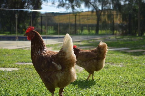 Amande Bed And Breakfast - Accommodation Gold Coast 20