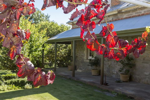 Grand Cru Estate Homestead - Gold Coast 4U 1
