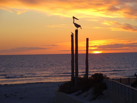 Aurora Holiday Apartment @West Beach - 1 Gold Coast 12