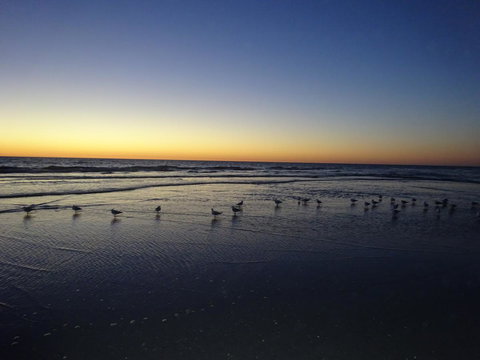 Aurora Holiday Apartment @West Beach - 1 Gold Coast 14