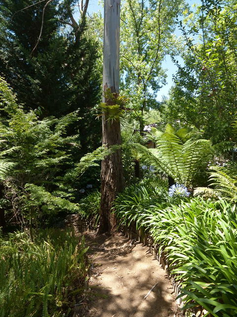 Aldgate Creek Cottage Bed And Breakfast - Gold Coast 4U 27