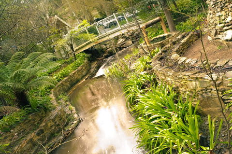 Aldgate Creek Cottage Bed And Breakfast - Gold Coast 4U 17