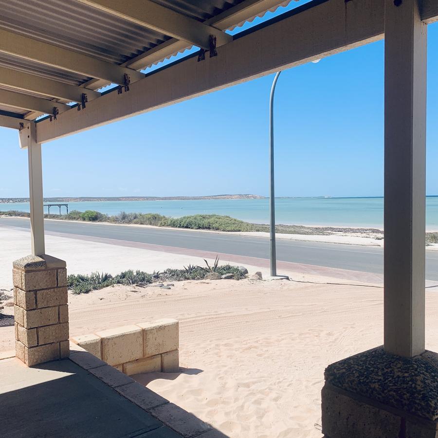 Shark Bay WA Accommodation Gold Coast