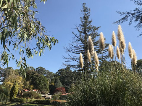 Forest Lodge Resort - 1 Gold Coast 24