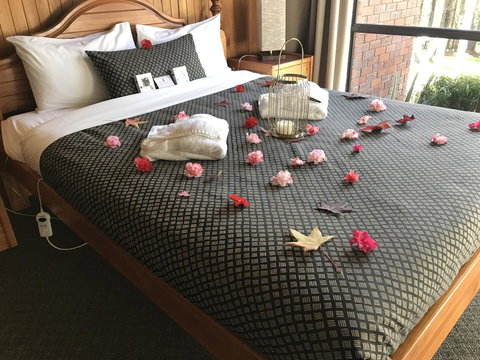 Forest Lodge Resort - 1 Gold Coast 3