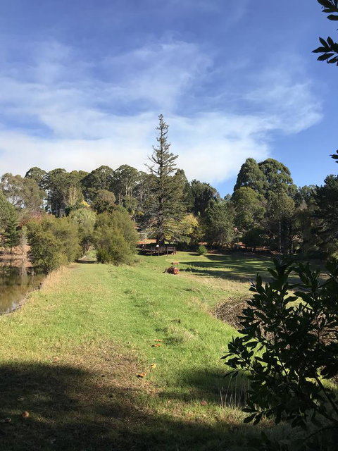 Forest Lodge Resort - 1 Gold Coast 31