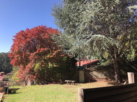 Forest Lodge Resort - 1 Gold Coast 42