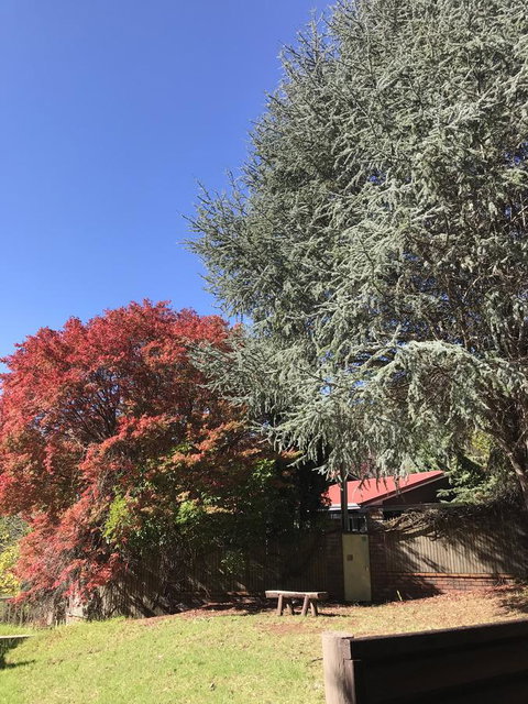 Forest Lodge Resort - 1 Gold Coast 35