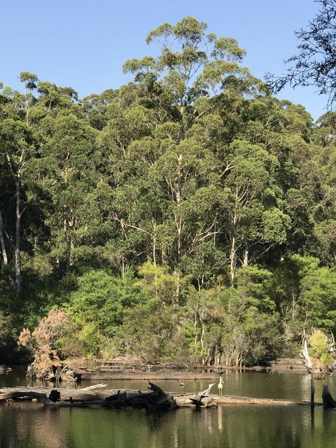 Forest Lodge Resort - 1 Gold Coast 22