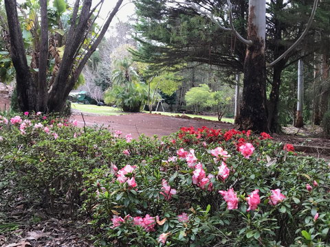 Forest Lodge Resort - 1 Gold Coast 12