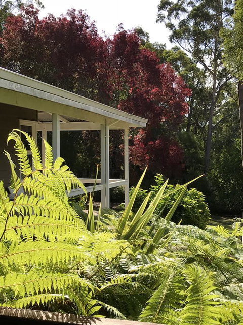 Forest Lodge Resort - 1 Gold Coast 14