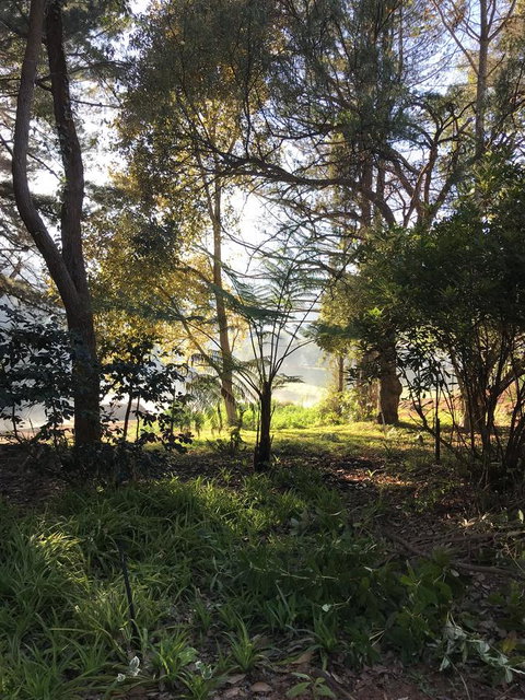 Forest Lodge Resort - 1 Gold Coast 33