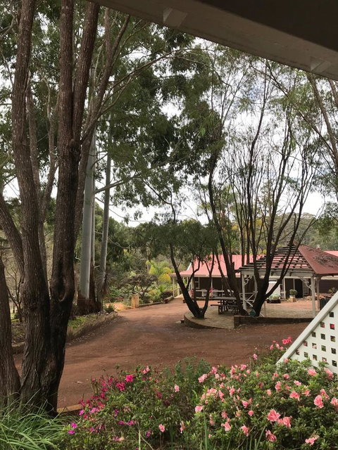 Forest Lodge Resort - 1 Gold Coast 9