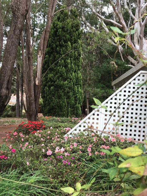 Forest Lodge Resort - 1 Gold Coast 7