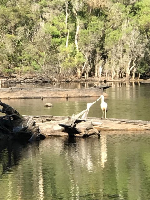 Forest Lodge Resort - 1 Gold Coast 25