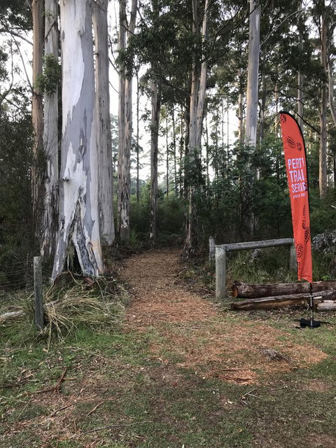 Forest Lodge Resort - 1 Gold Coast 28