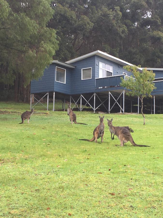 Trent WA Accommodation Gold Coast