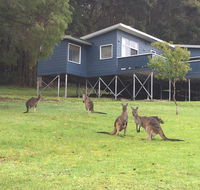 Blue House Denmark - Accommodation Gold Coast