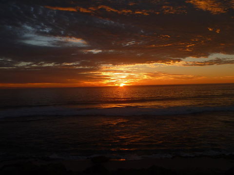 Kanga Cottage - Gold Coast 4U 41