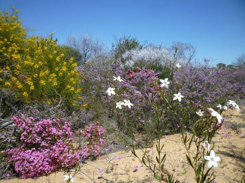 Unit 42 Kalbarri Beach Resort - Gold Coast 4U 26