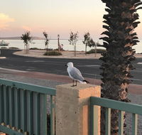 Shark Bay Seafront Apartments - Accommodation Gold Coast