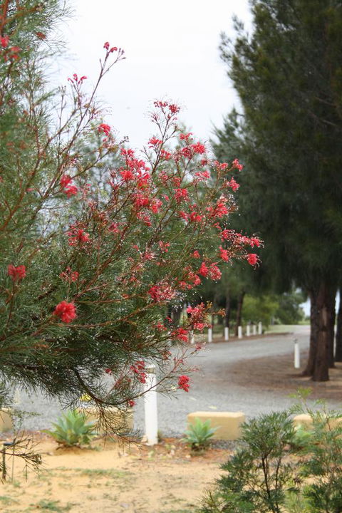 The Heights Bed & Breakfast - Gold Coast 4U 0
