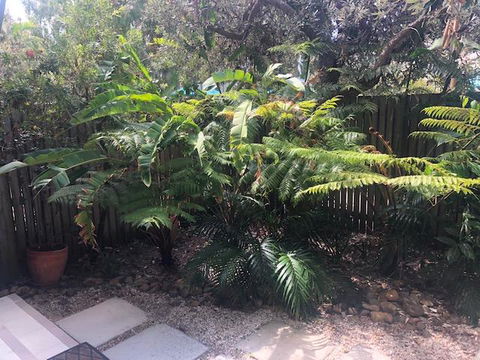East On Byron - Gold Coast 4U 40