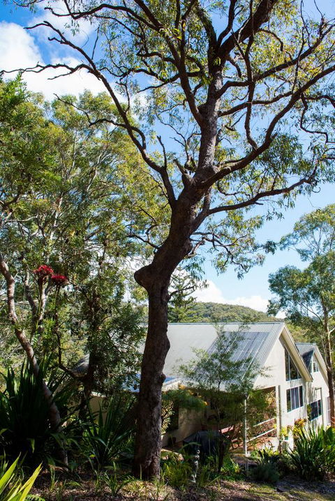Nelson Bay Bed & Breakfast - Accommodation Gold Coast 42