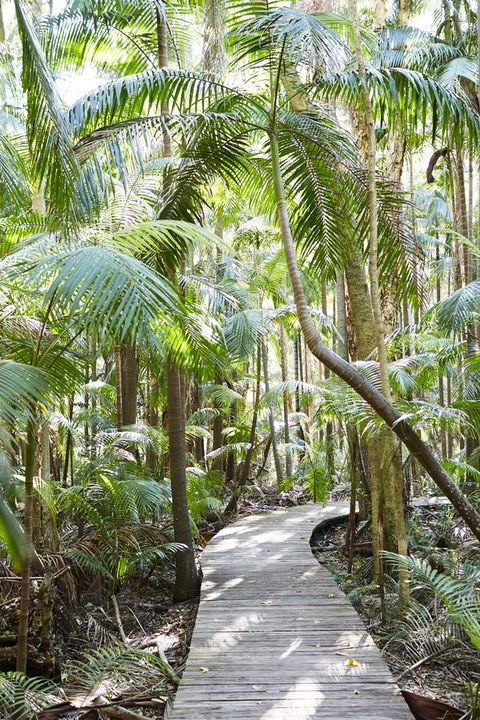 Crystalbrook Byron - Gold Coast 4U 26