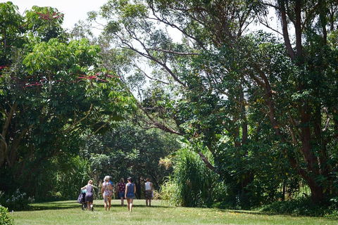 Ingenia Holidays Byron Bay - Gold Coast 4U 11