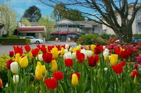 Book Leura Accommodation Vacations Accommodation Gold Coast Accommodation Gold Coast
