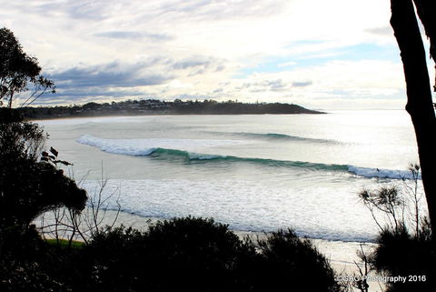 Mollymook Cove Apartments - Gold Coast 4U 2