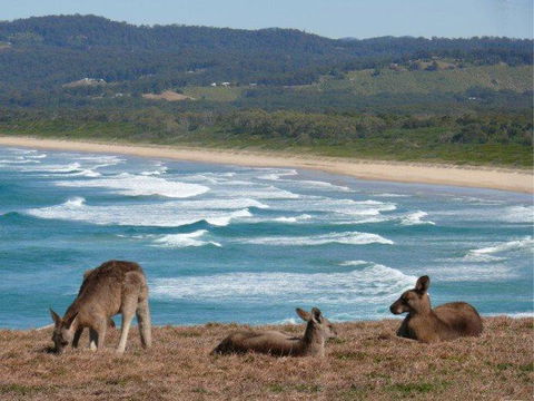 High Tide At Emerald - Accommodation Gold Coast 13