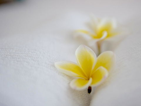 Cossies By The Sea - Gold Coast 4U 16