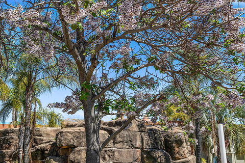 Quality Resort Siesta - 1 Gold Coast 2