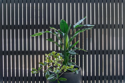 Quality Resort Siesta - 1 Gold Coast 8